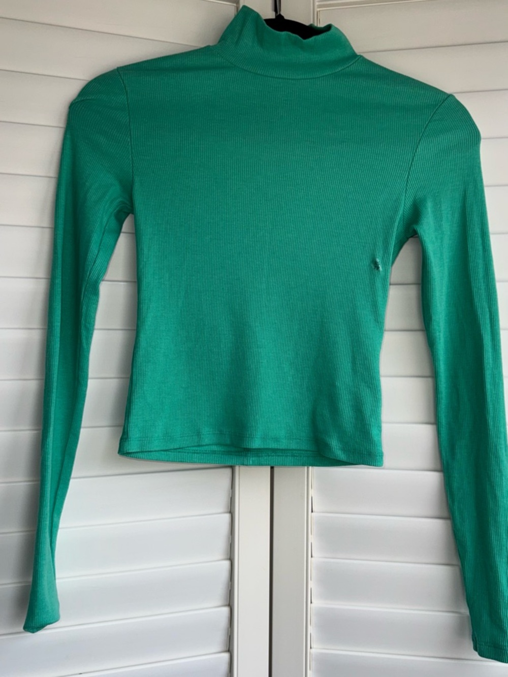 American Eagle Outfitters Ribbed Mock Neck Long Sleeve Top in Teal Green